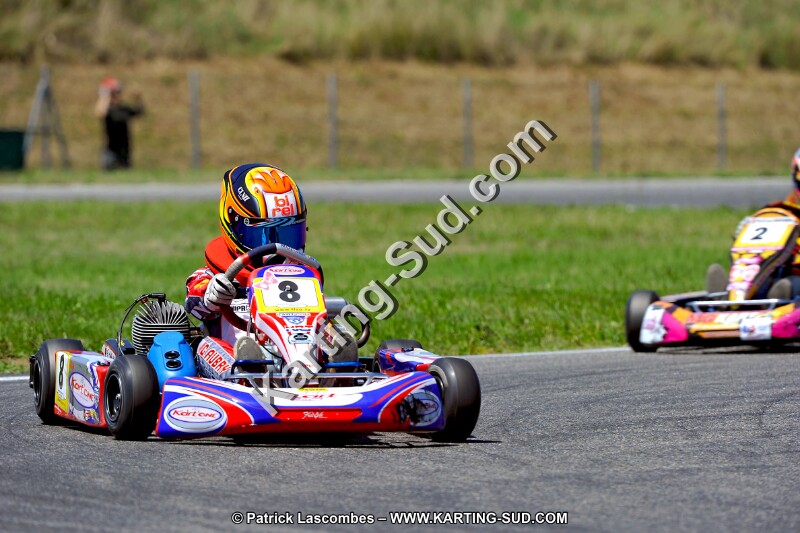 DSC_ (1464).jpg
